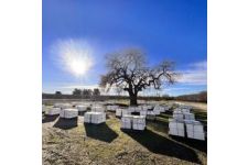 Logo for Chase Honey Co. Logo for Chase Honey Co.