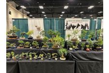 Logo for Gray to Green Nursery Logo for Gray to Green Nursery