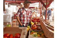 Logo for Deerfield Farms Logo for Deerfield Farms