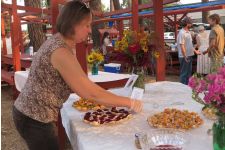 Logo for Terra Topia, LLC Logo for Terra Topia, LLC