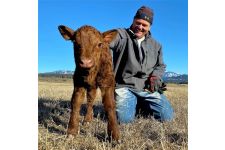 Logo for Ramstead Ranch Logo for Ramstead Ranch