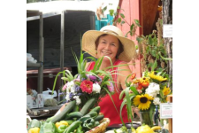 Logo for Mountain View Farm – Idaho Tomato Lady Logo for Mountain View Farm – Idaho Tomato Lady