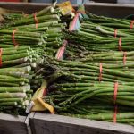 Fresh Asparagus | Kootenai County Farmers' Market