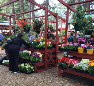 Spring Flowers | Kootenai County Farmers' Market