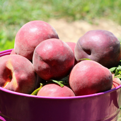 Peaches Are Here!  Farm-Fresh Peach Cobbler