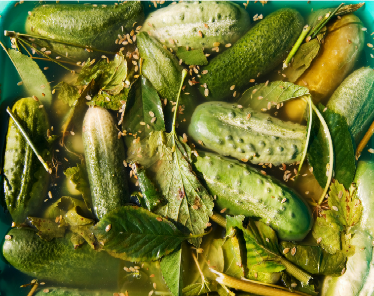 Old Fashioned Brine Fermented Pickles Kootenai County Farmers Markets