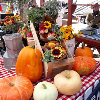 Last Hayden Market Tomorrow – Downtown Harvest Festival 10/30
