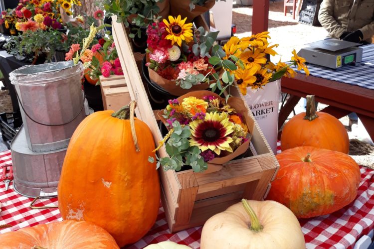 Last Hayden Market Tomorrow – Downtown Harvest Festival 10/30