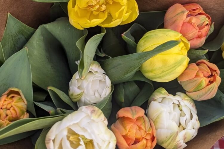 Spring Into Garden Season with Us!
