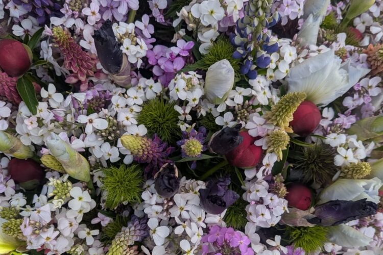 Enjoy the Sun & Flowers with Our Farmers