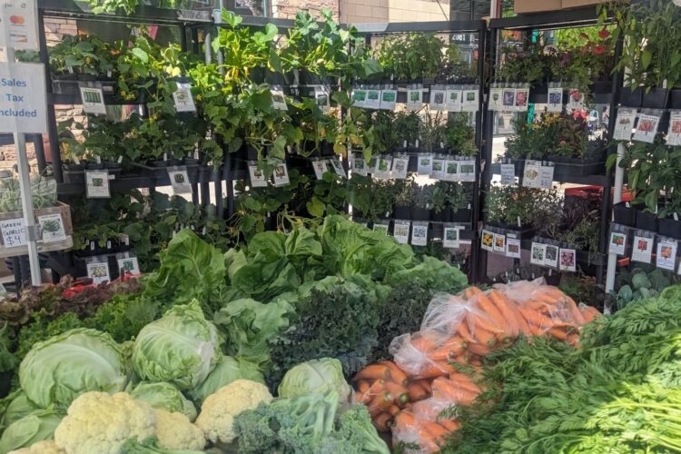 Make Summer Unforgettable at Wednesday Market