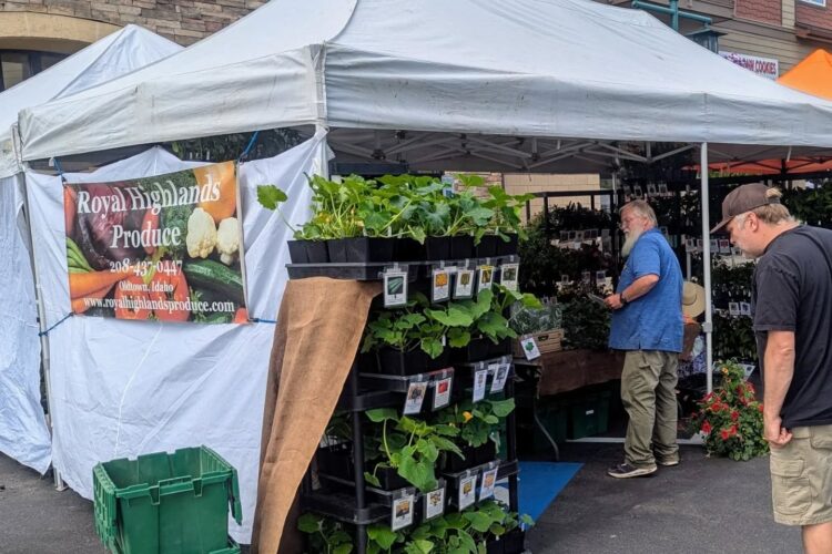 Enjoy the Sunshine at the Riverstone Market
