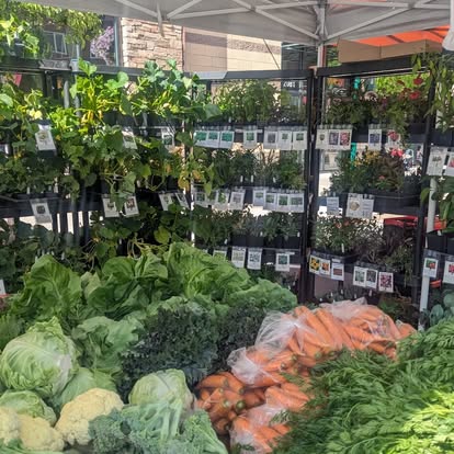 Cool Off at the Wednesday Riverstone Market
