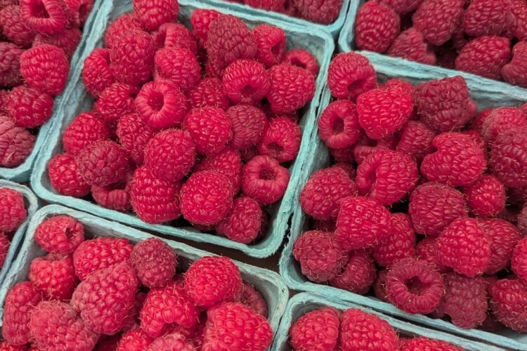 Summer is All About the Berries