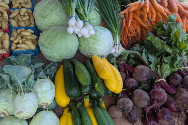 Our Farmers + Vendors Are Cool As a Cucumber