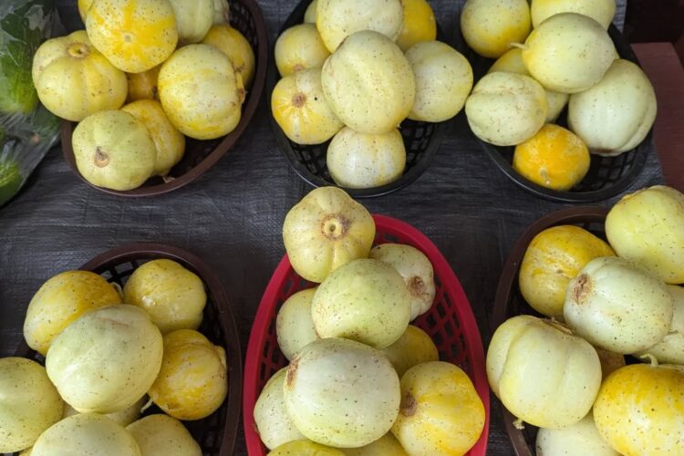 Shop Local for all the Fresh Foods + Handcrafted Goods