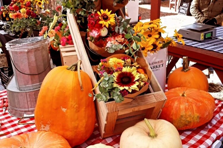 Fall Fest Has Arrived!